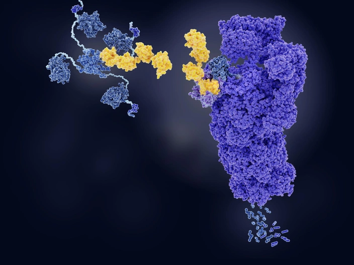 యుబిక్విటిన్ గురించి వివరణ | Ubiquitin