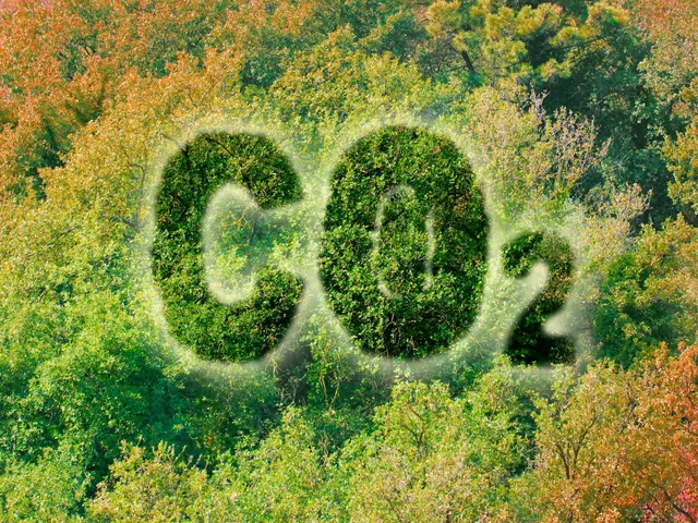 వాతావరణంలో CO2 పెరుగుతోంది.